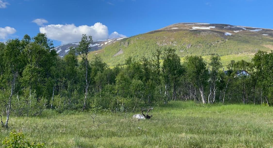 Great Villa With Amazing View Tromsø Exterior foto